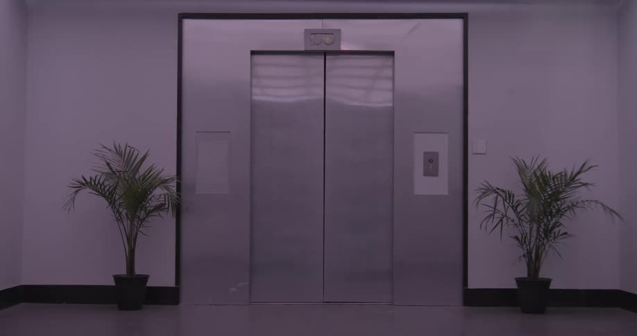 A stainless steel elevator door closes in a dimly lit, minimalist hallway flanked by potted plants