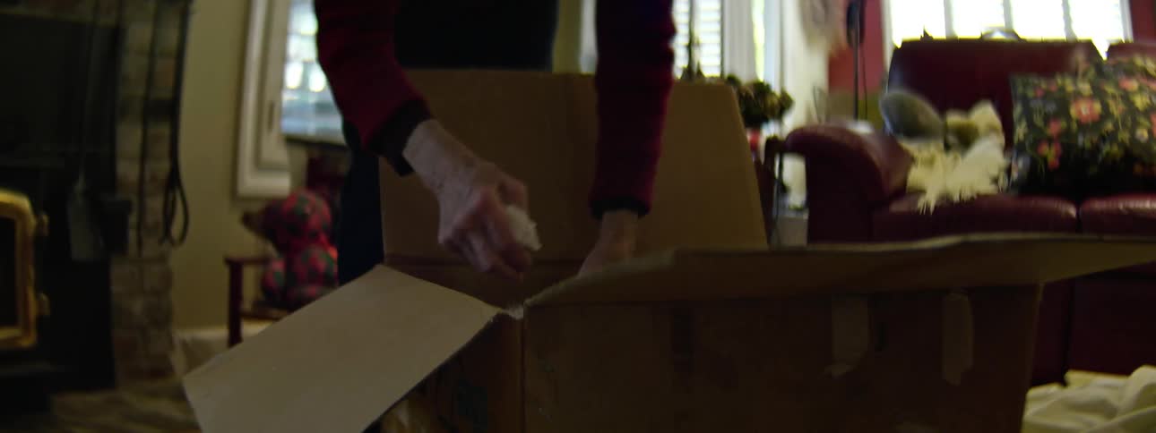 Person opens cardboard box and pulls out stuffed animal