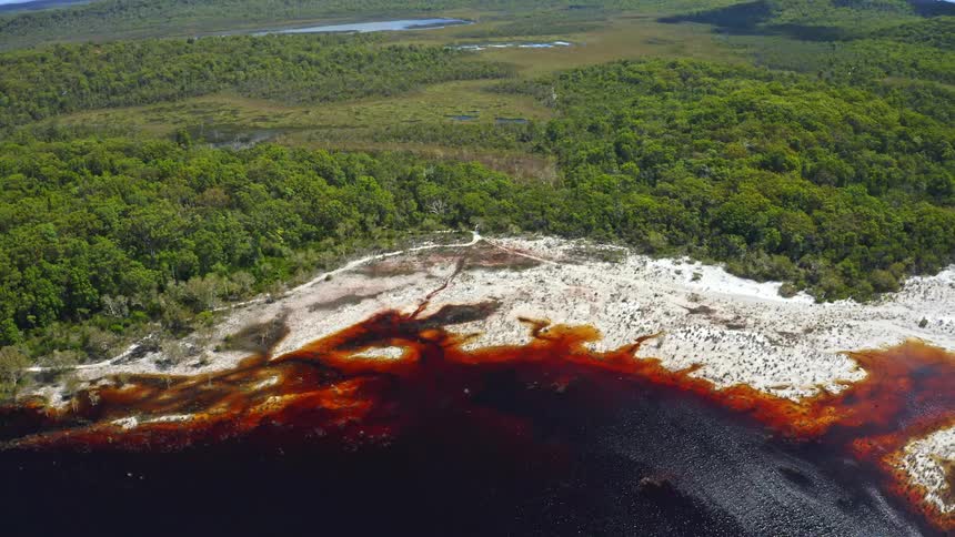 Aerial drone footage pulls back from the striking red waters of a tannin-stained lake, revealing the vast green forest and white sandy shores of this unique natural landscape