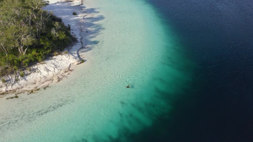Aerial top-down shot pulls back from a lone swimmer in a crystal-clear turquoise lake, revealing a stunning white sand beach and lush surrounding forest