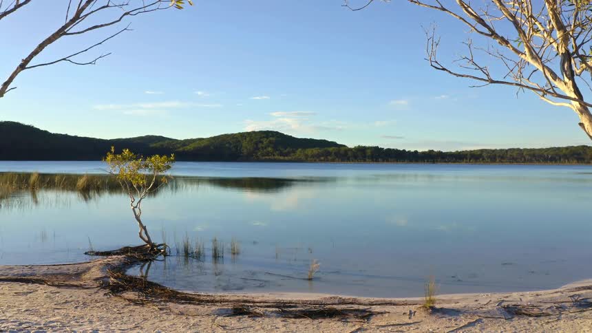 A slow push-in through trees on a sandy shore reveals the serene, mirror-like surface of a lake reflecting the clear blue sky