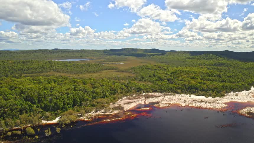 A static aerial shot captures the vast, untouched wilderness of Australia, featuring a tannin-stained lake bordered by a sandy shore and dense green forest
