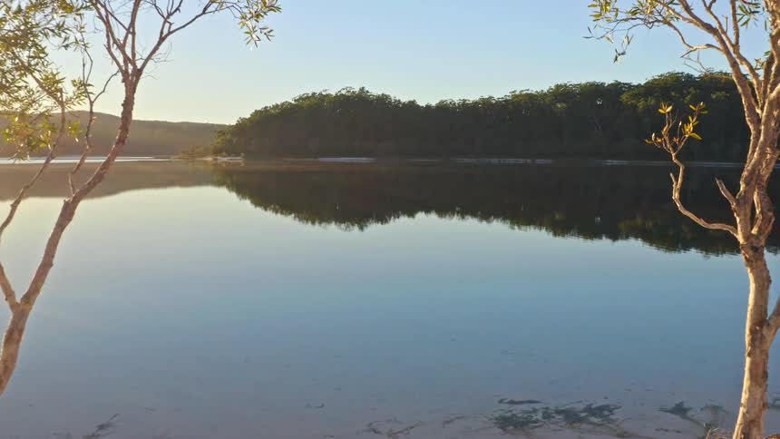 A slow cinematic push-in shot glides between two trees on a sandy beach toward a perfectly calm and reflective lake during a golden sunrise