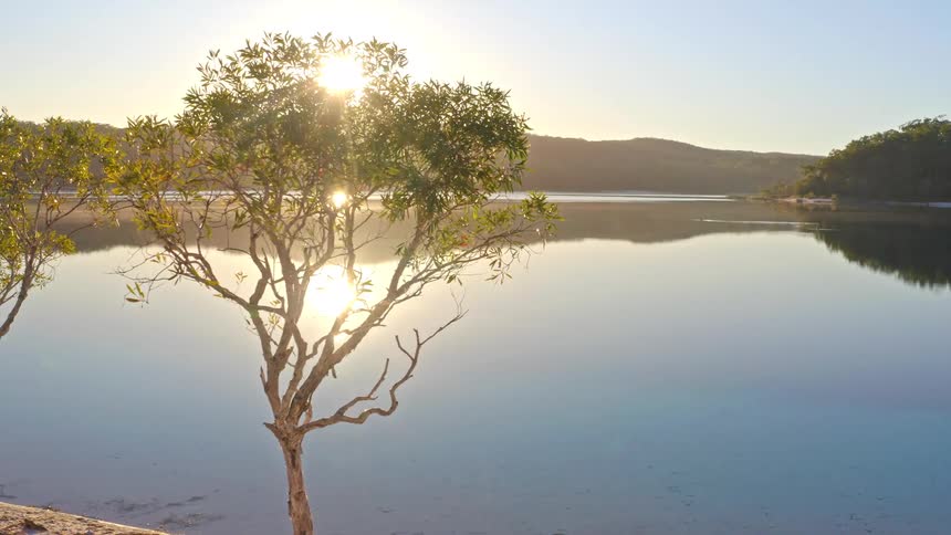 A beautiful aerial pan reveals a tranquil lake at sunrise, with golden light flaring through a tree on the shore and reflecting on the glassy water