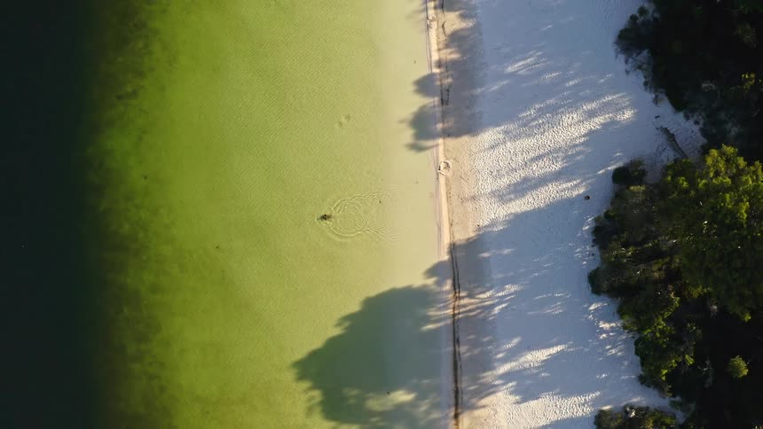 Aerial top-down view pulls back from a woman floating in the tranquil green water of a lake with a pristine white sand beach