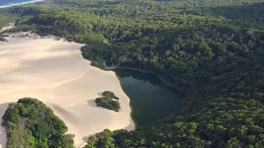 A stunning high-angle aerial view of a unique landscape where a large sand dune meets a freshwater lake and a dense forest, with the ocean in the distance
