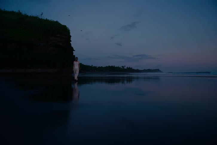 A woman walks along a serene, reflective beach at twilight, with the dark blue sky mirroring in the wet sand