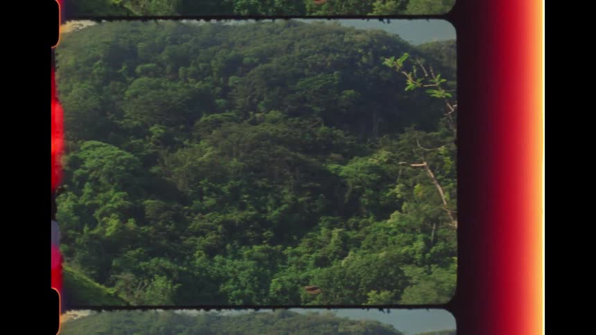 Authentic 8mm film leader reveals a stunning view of a dense tropical jungle on a mountainside