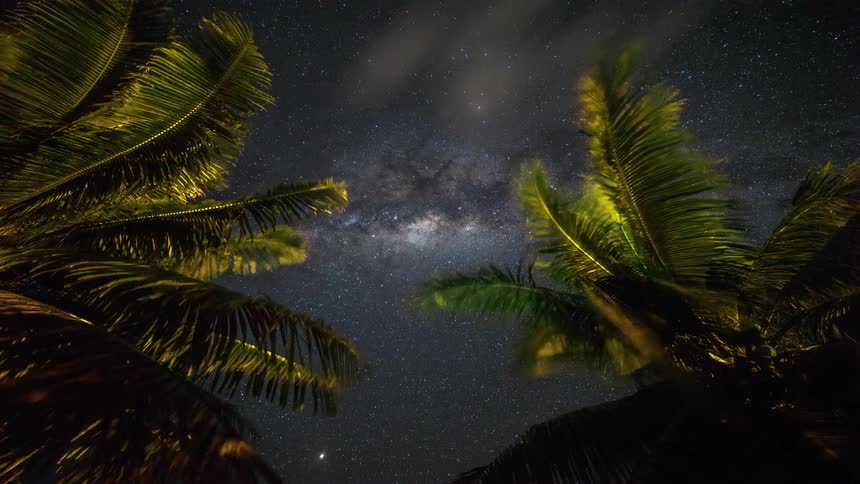 A stunning low-angle time-lapse reveals the Milky Way galaxy moving across the starry night sky between two swaying palm trees