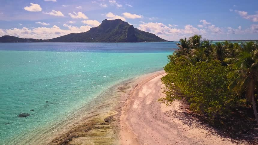 An aerial view pulls back over a sandy beach with palm trees revealing the vibrant turquoise lagoon of Bora Bora on a beautiful day