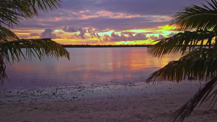 A serene aerial view pushes in between two palm trees on a sandy beach towards a stunningly colorful sunset over the calm ocean