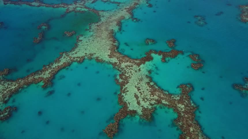 Stunning aerial shot begins with a top-down view of a coral reef in turquoise water and pulls back to reveal a majestic tropical island