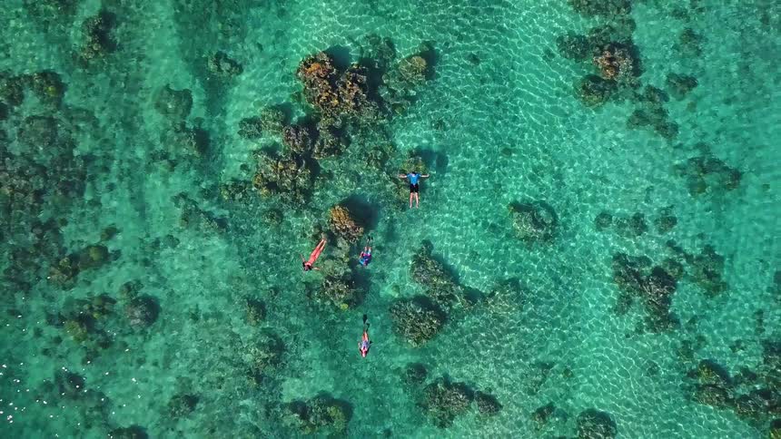 An aerial top-down view captures people snorkeling and floating in crystal-clear turquoise ocean water above a beautiful coral reef