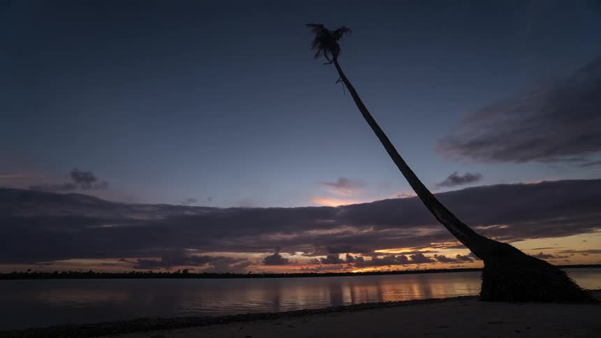 A stunning timelapse captures a vibrant sunset over a calm tropical lagoon, with a silhouetted palm tree leaning over the sandy shore as clouds drift by