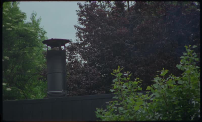 Vintage style footage shows a black chimney releasing smoke into the air, surrounded by lush green and purple trees on an overcast day