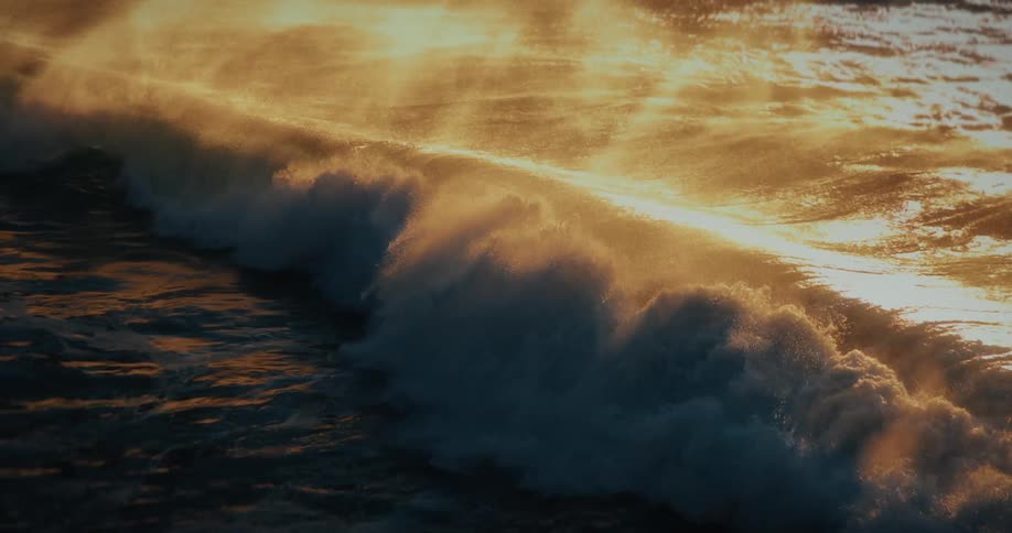 A majestic ocean wave curls and crashes in dramatic slow motion as its spray glows in the warm golden light of sunset
