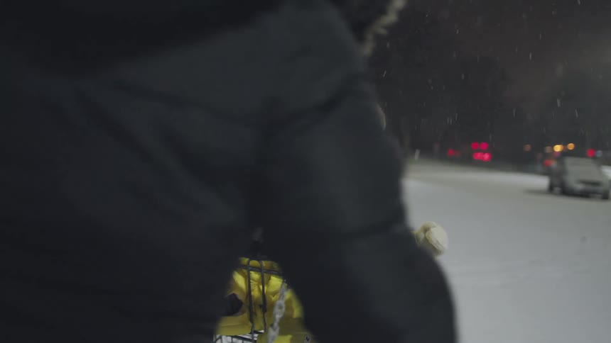 A mother pushes her laughing toddler in a shopping cart through a snowy parking lot at night, both enjoying the magical snowfall in slow motion