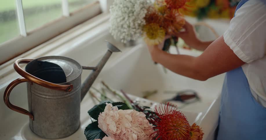 A woman in an apron carefully arranges a bouquet of colorful pincushion protea and baby's breath flowers in a rustic sink