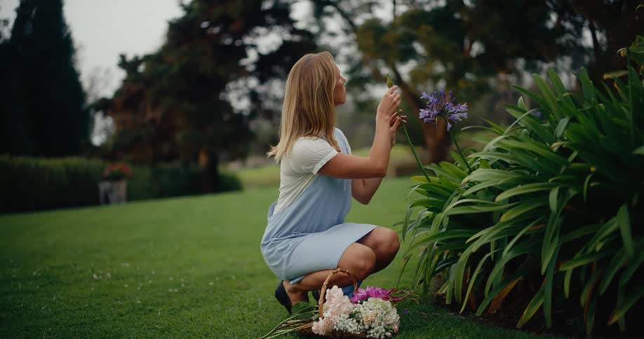 A woman in a blue apron gently touches a purple flower in a beautiful green garden while collecting a bouquet