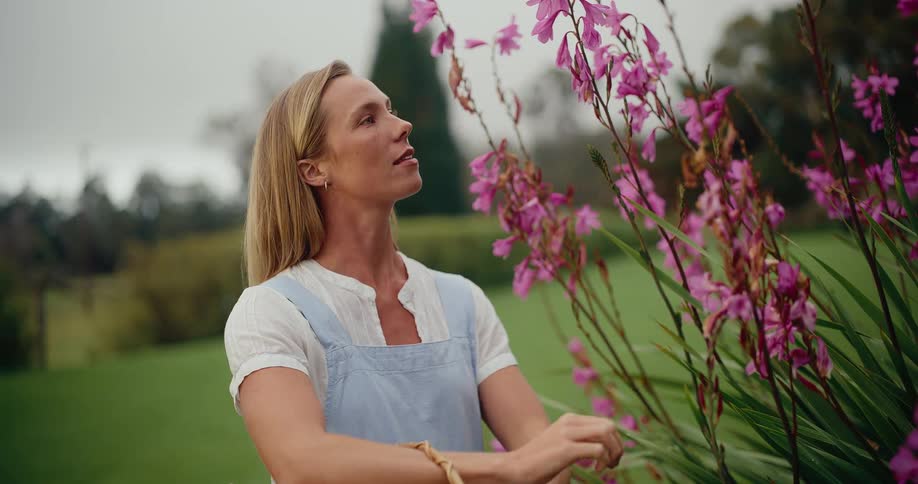 A serene woman wearing a blue apron enjoys a quiet moment while cutting beautiful pink flowers from her lush garden