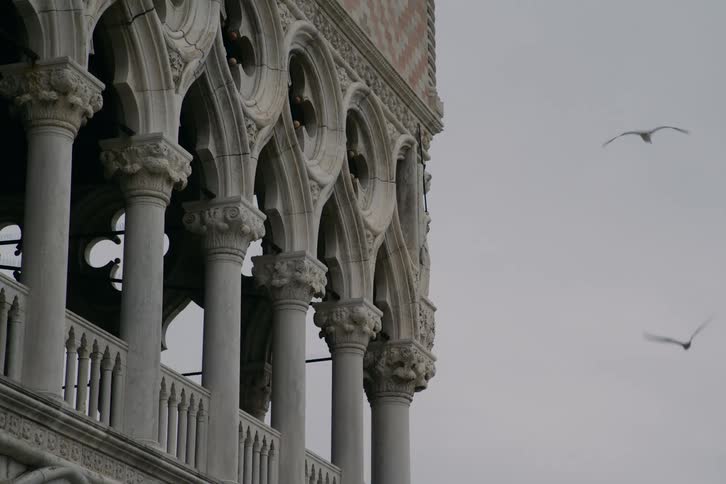 Birds fly gracefully in slow motion past the beautiful gothic architecture of a Venetian palace