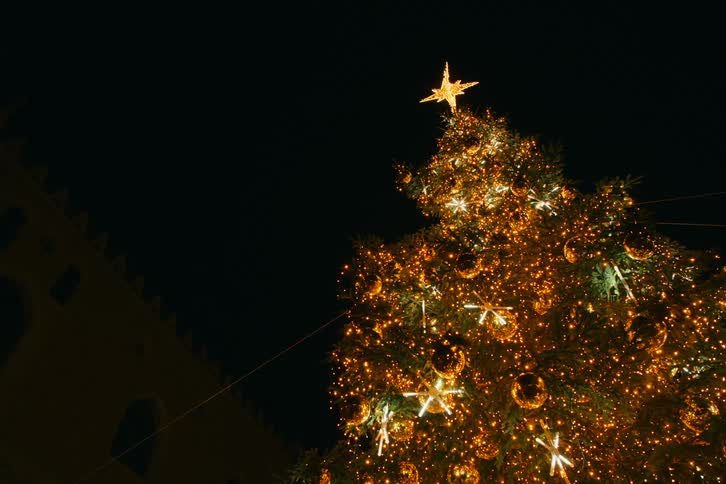 A towering Christmas tree glows with festive golden lights and a shining star on top against the dark night sky