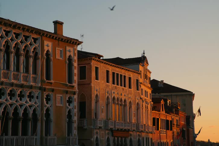A picturesque view of Venetian palaces bathed in the warm light of a beautiful sunset as birds fly by