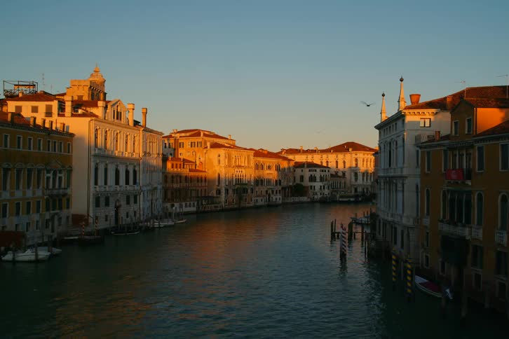 The Grand Canal in Venice is bathed in warm golden light at sunrise as seagulls fly overhead