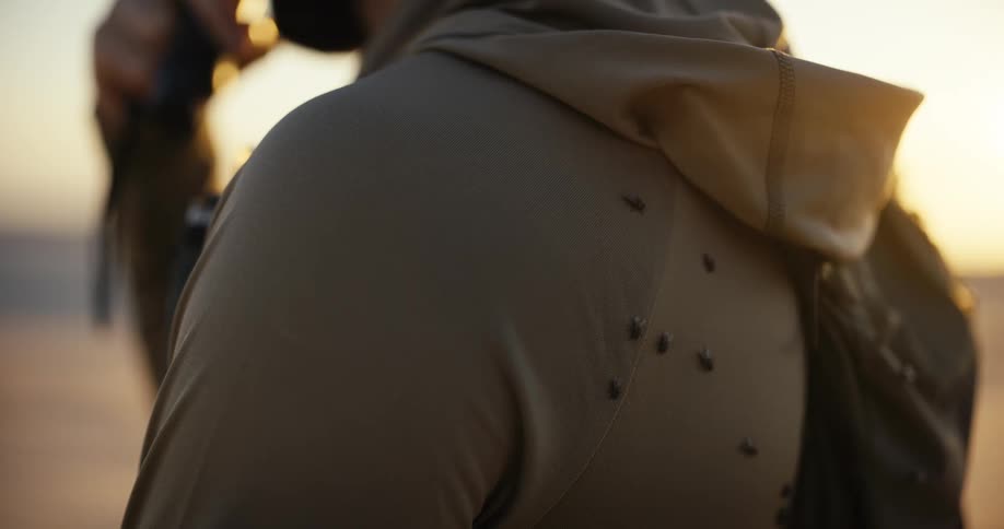 A close-up of flies crawling on the back of a person's hoodie during a golden hour sunset