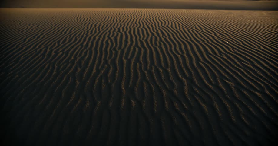 Intricate patterns of ripples and shadows cover the vast expanse of desert sand at dusk