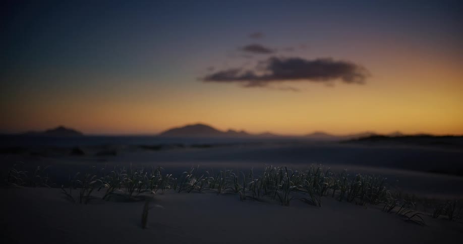 Blades of beach grass sway gently on a sand dune at twilight with a soft-focus mountain range in the background