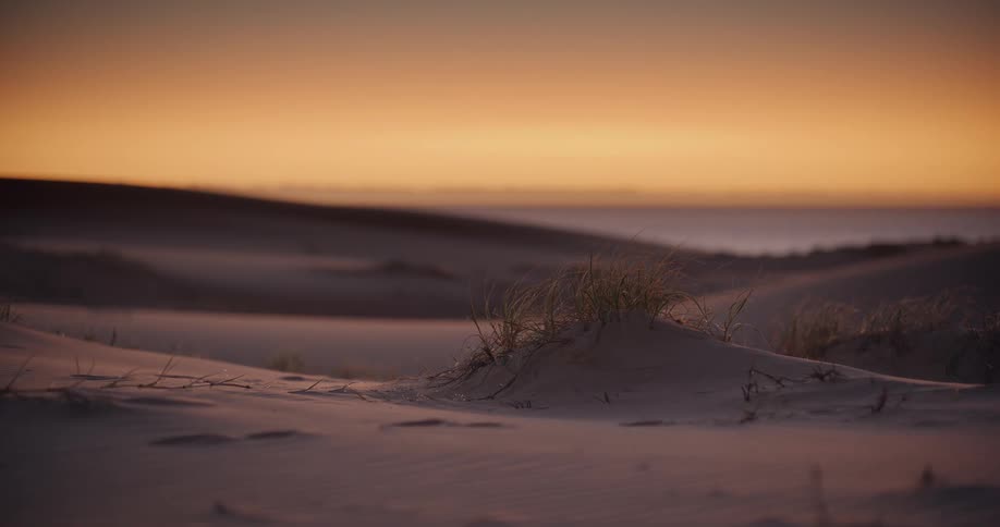 Close-up of a small grassy sand dune with the ocean in the background during a beautiful sunset