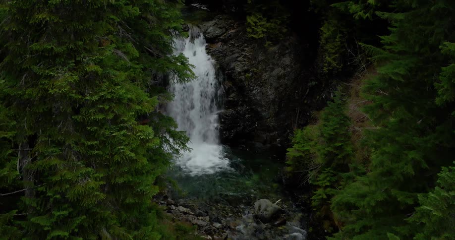 A serene waterfall cascades down a rocky cliff into a tranquil pool, framed by the lush evergreen trees of a dense forest