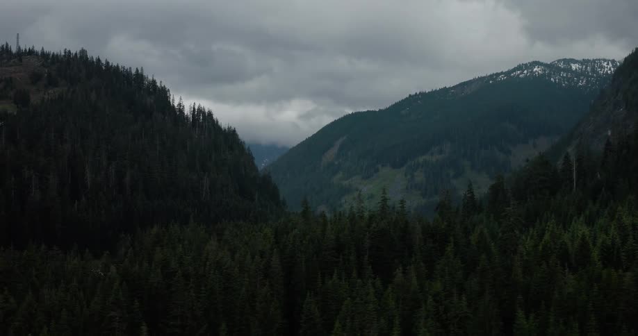 A slow aerial pullback reveals a vast, moody mountain valley covered in a dense evergreen forest under a dark, cloudy sky