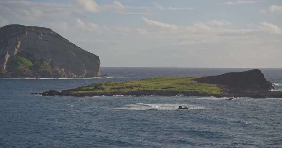 A pod of dolphins gracefully breaches the ocean surface near a small, lush green island with a larger cliff in the background