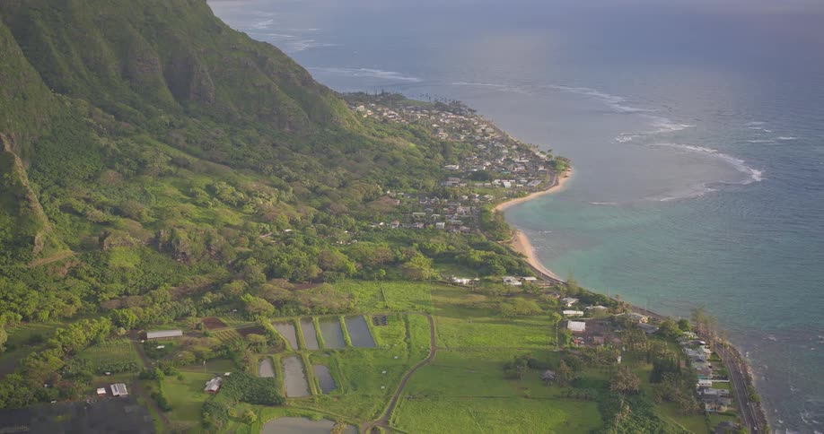 A beautiful, static shot captures the verdant landscape of a Hawaiian coastal town and farmlands beside the ocean