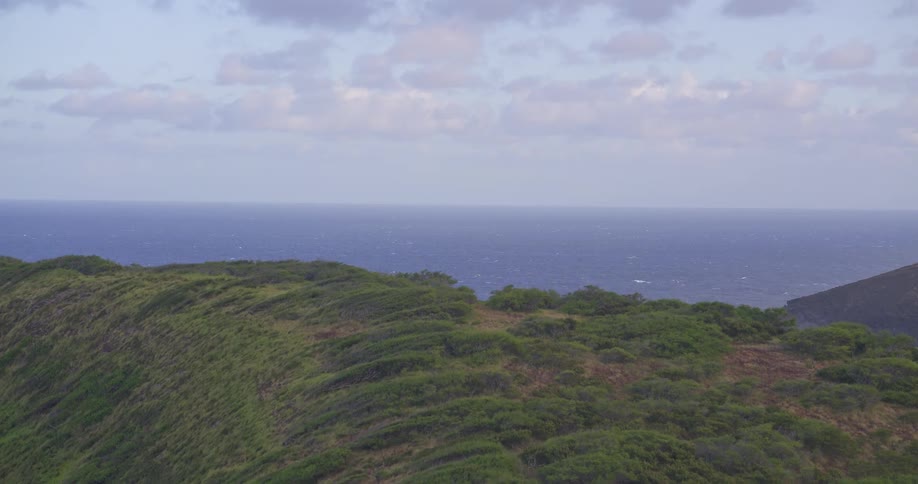 An aerial shot pans up over a lush green hillside revealing the expansive blue ocean and a beautiful tropical coastline