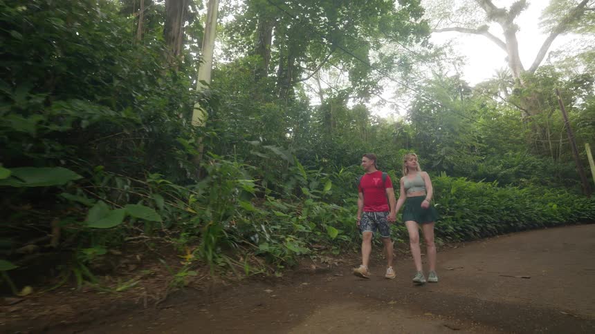 A young couple holding hands while taking a romantic stroll along a pathway in a lush tropical arboretum