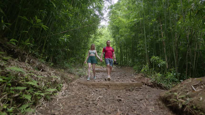 A happy young couple holds hands and walks down a beautiful, rocky trail through a lush, green bamboo forest