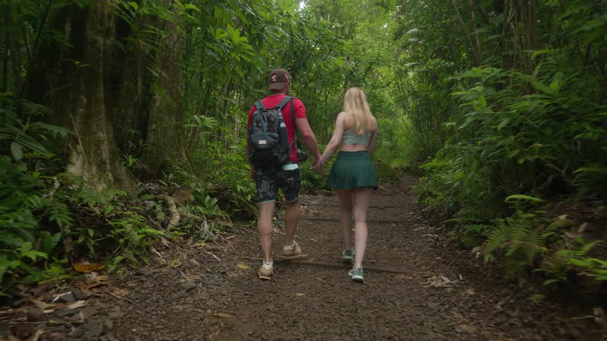 A romantic couple holds hands while hiking on a trail through a lush green tropical rainforest