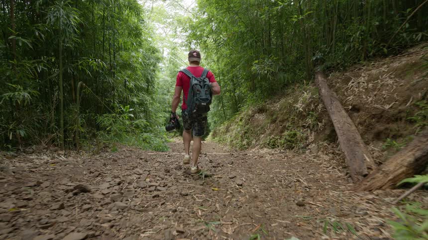 A man with a backpack and camera walks down a rugged, rocky trail through a dense and lush bamboo forest