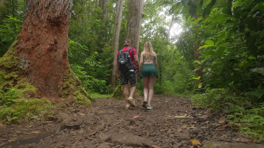A romantic couple holds hands and walks in slow motion along a scenic trail deep within a lush tropical jungle