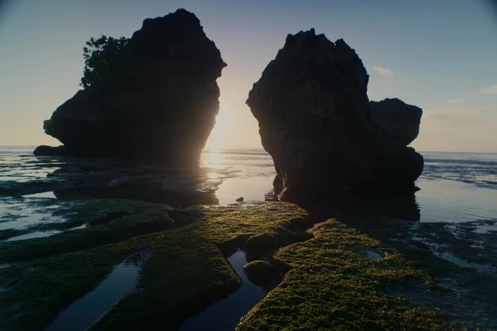 The sun rises between two large silhouetted rock formations on a mossy beach during low tide