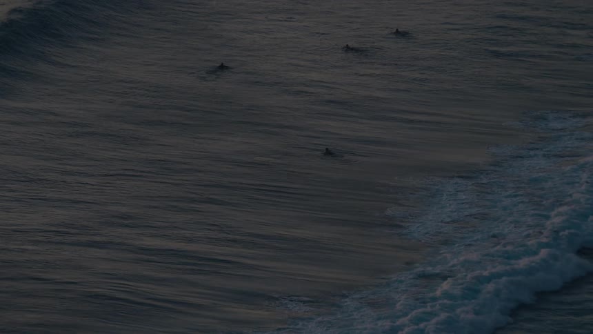 A group of surfers waits patiently in the dark ocean as a powerful wave builds and crashes in slow motion at dawn
