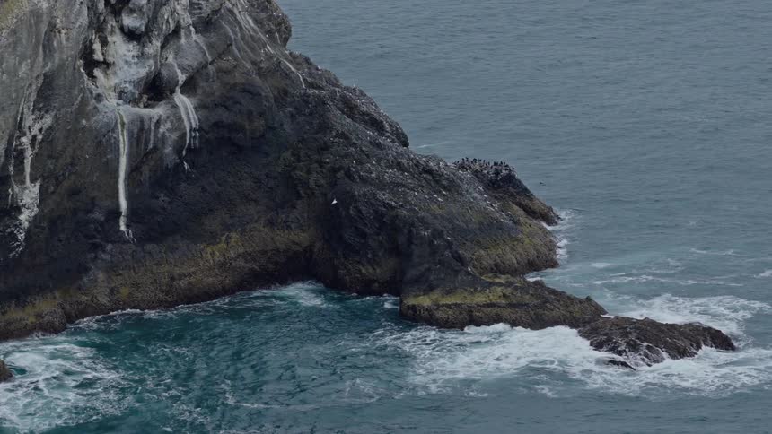 Seabirds nest on a rugged coastal cliff as turbulent ocean waves crash against the rocks