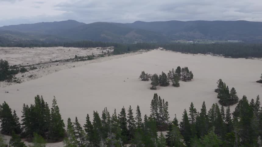 Drone footage flies over a Pacific Northwest forest, revealing a vast and surprising landscape of sand dunes with mountains in the background