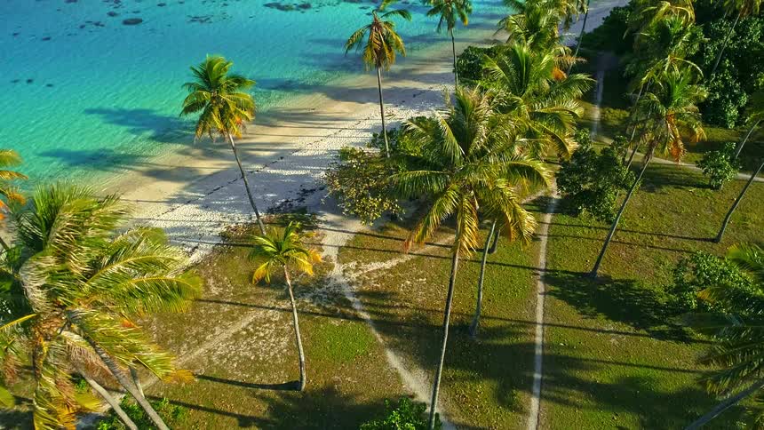 An aerial view descends over a beautiful tropical island, tilting up to reveal a stunning coastline with palm trees, a white sand beach, and turquoise water