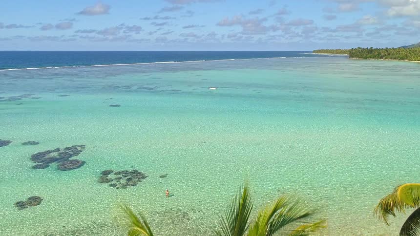 An aerial view reveals a breathtaking tropical paradise with crystal-clear turquoise waters, a pristine lagoon, and lush palm trees swaying in the gentle breeze