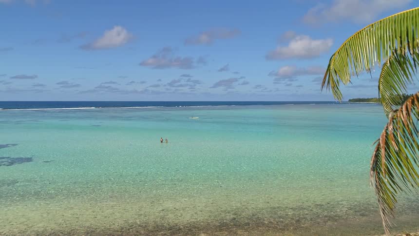 Slow aerial push-in shot past a palm tree reveals a stunning tropical beach and turquoise lagoon where people relax and swim