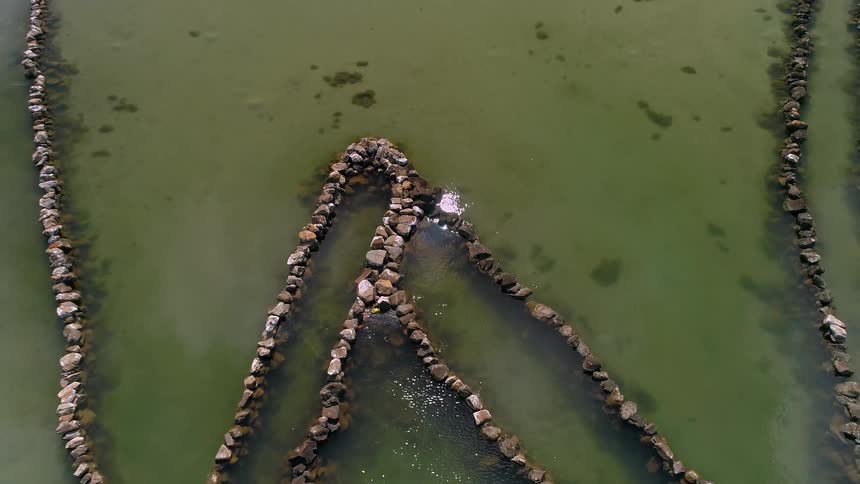 A slow aerial pullback reveals an ancient and intricate stone fish trap with thatched huts in a tranquil tropical lagoon